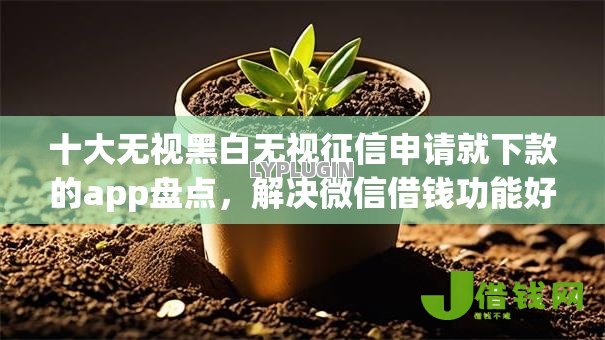 十大无视黑白无视征信申请就下款的app盘点,解决微信借钱功能好不好的问题 十大无视黑白无视征信申请就下款的app盘点,解决微信借钱功能好不好的问题