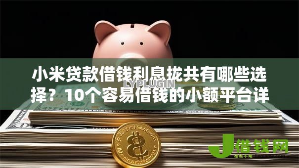 小米贷款借钱利息拢共有哪些选择?10个容易借钱的小额平台详解 小米贷款借钱利息拢共有哪些选择?10个容易借钱的小额平台详解