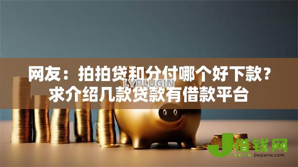 网友：拍拍贷和分付哪个好下款？求介绍几款贷款有借款平台
