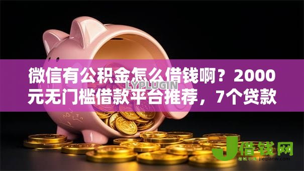 微信有公积金怎么借钱啊?2000元无门槛借款平台推荐,7个贷款秒下的口子盘点 微信有公积金怎么借钱啊?2000元无门槛借款平台推荐,7个贷款秒下的口子盘点