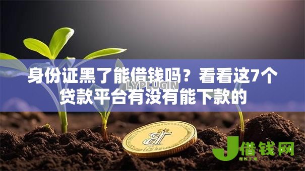 身份证黑了能借钱吗？看看这7个贷款平台有没有能下款的