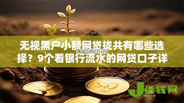 无视黑户小额网贷拢共有哪些选择？9个看银行流水的网贷口子详解