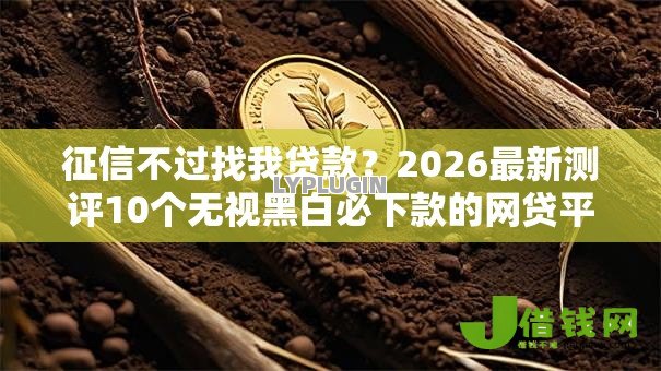 征信不过找我贷款？2026最新测评10个无视黑白必下款的网贷平台