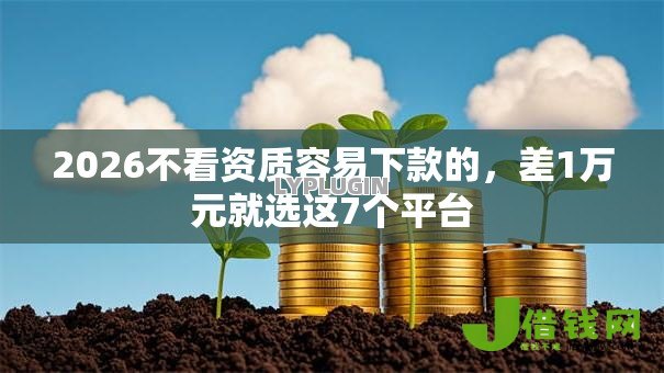 2026不看资质容易下款的,差1万元就选这7个平台 2026不看资质容易下款的,差1万元就选这7个平台