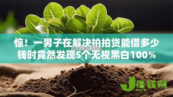 惊！一男子在解决拍拍贷能借多少钱时竟然发现5个无视黑白100%秒下网贷软件，事后分享了出来