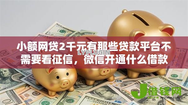 小额网贷2千元有那些贷款平台不需要看征信,微信开通什么借款好下款的7个平台介绍 小额网贷2千元有那些贷款平台不需要看征信,微信开通什么借款好下款的7个平台介绍