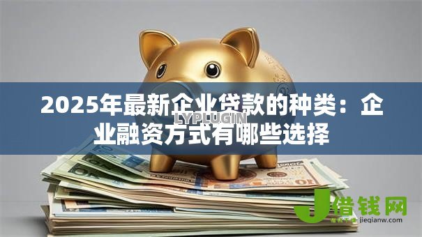 2025年最新企业贷款的种类:企业融资方式有哪些选择 2025年最新企业贷款的种类:企业融资方式有哪些选择