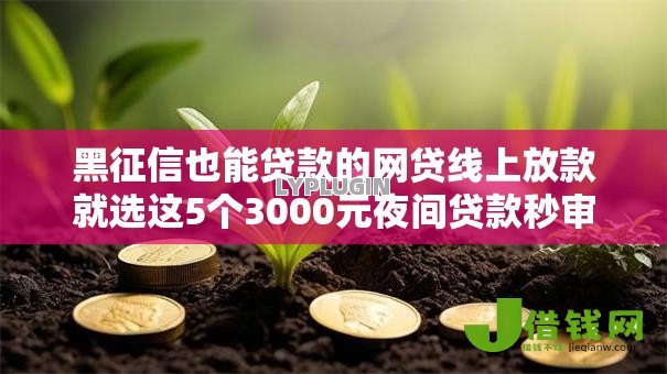 黑征信也能贷款的网贷线上放款就选这5个3000元夜间贷款秒审核秒下款的平台