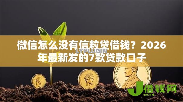 微信怎么没有信粒贷借钱？2026年最新发的7款贷款口子