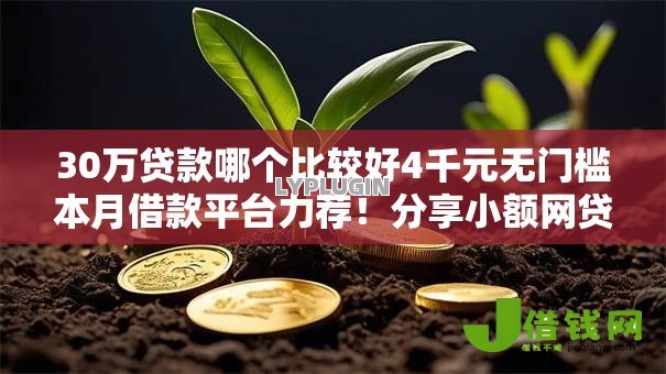 30万贷款哪个比较好4千元无门槛本月借款平台力荐！分享小额网贷口子4千元无门槛借款