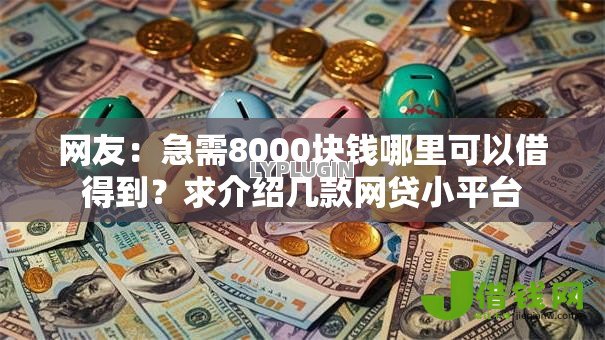 网友：急需8000块钱哪里可以借得到？求介绍几款网贷小平台