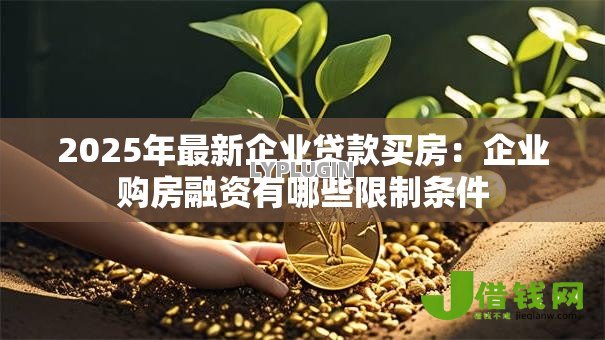 2025年最新企业贷款买房：企业购房融资有哪些限制条件