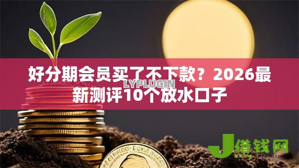 好分期会员买了不下款？2026最新测评10个放水口子