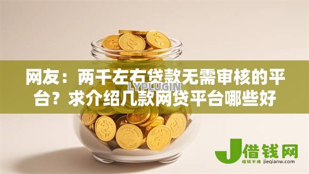 网友：两千左右贷款无需审核的平台？求介绍几款网贷平台哪些好下款