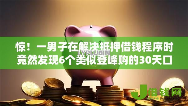 惊！一男子在解决抵押借钱程序时竟然发现6个类似登峰购的30天口子，事后分享了出来