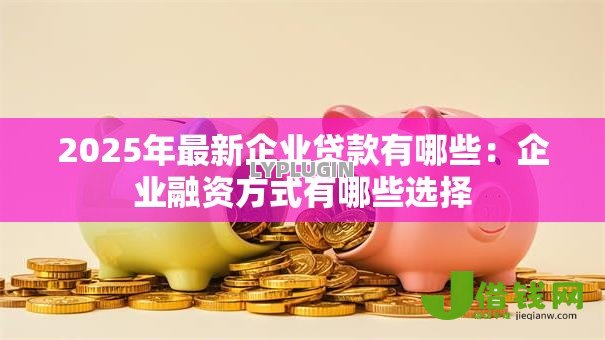 2025年最新企业贷款有哪些:企业融资方式有哪些选择 2025年最新企业贷款有哪些:企业融资方式有哪些选择