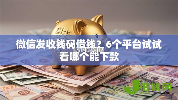 微信发收钱码借钱？6个平台试试看哪个能下款