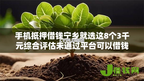 手机抵押借钱宁乡就选这8个3千元综合评估未通过平台可以借钱