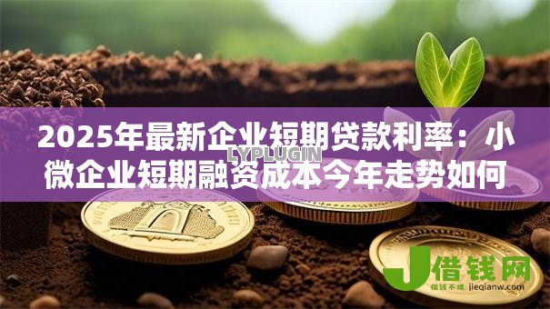 2025年最新企业短期贷款利率：小微企业短期融资成本今年走势如何