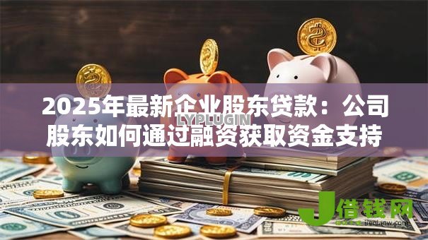 2025年最新企业股东贷款：公司股东如何通过融资获取资金支持