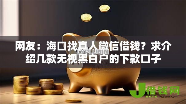 网友：海口找真人微信借钱？求介绍几款无视黑白户的下款口子