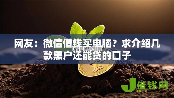 网友:微信借钱买电脑?求介绍几款黑户还能贷的口子 网友:微信借钱买电脑?求介绍几款黑户还能贷的口子