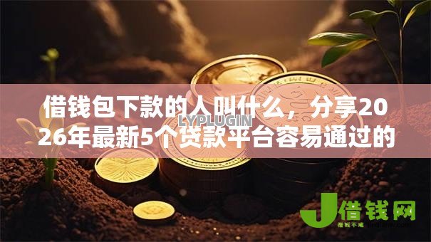 借钱包下款的人叫什么，分享2026年最新5个贷款平台容易通过的
