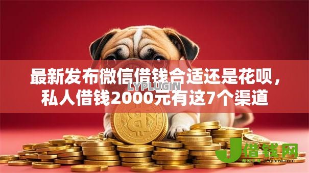 最新发布微信借钱合适还是花呗，私人借钱2000元有这7个渠道