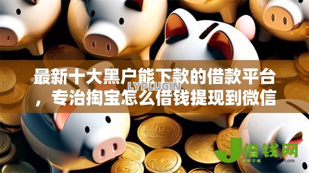 最新十大黑户能下款的借款平台，专治掏宝怎么借钱提现到微信
