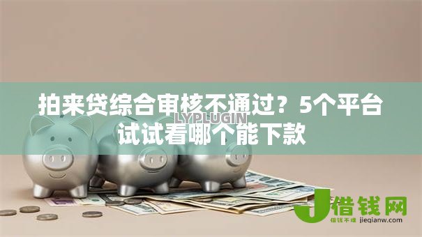 拍来贷综合审核不通过？5个平台试试看哪个能下款