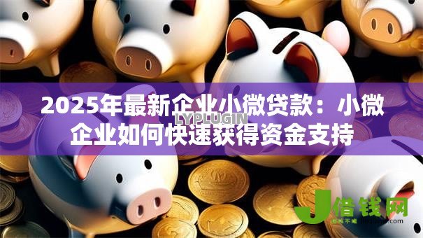 2025年最新企业小微贷款：小微企业如何快速获得资金支持
