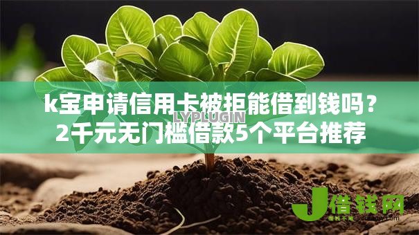 k宝申请信用卡被拒能借到钱吗？2千元无门槛借款5个平台推荐