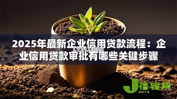 2025年最新企业信用贷款流程：企业信用贷款审批有哪些关键步骤