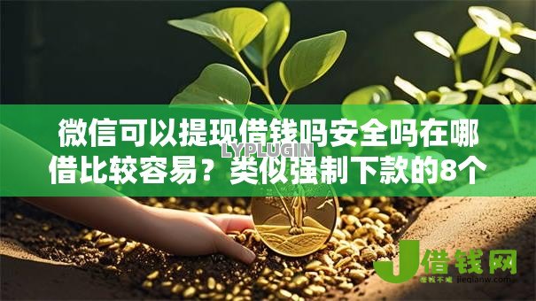 微信可以提现借钱吗安全吗在哪借比较容易?类似强制下款的8个口子参考 微信可以提现借钱吗安全吗在哪借比较容易?类似强制下款的8个口子参考