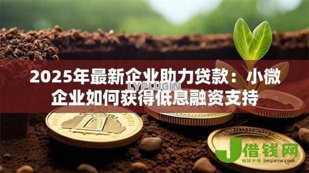 2025年最新企业助力贷款：小微企业如何获得低息融资支持