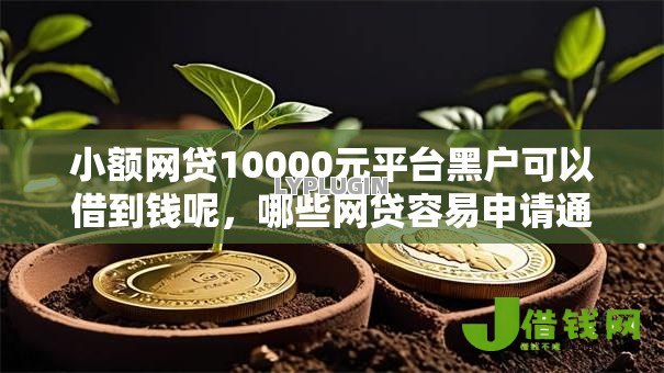 小额网贷10000元平台黑户可以借到钱呢,哪些网贷容易申请通过的8个平台介绍 小额网贷10000元平台黑户可以借到钱呢,哪些网贷容易申请通过的8个平台介绍