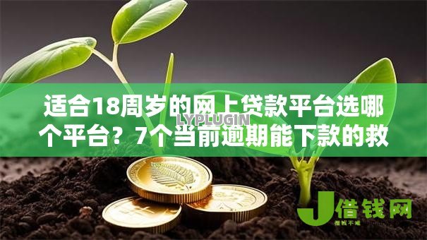 适合18周岁的网上贷款平台选哪个平台?7个当前逾期能下款的救命平台推荐 适合18周岁的网上贷款平台选哪个平台?7个当前逾期能下款的救命平台推荐