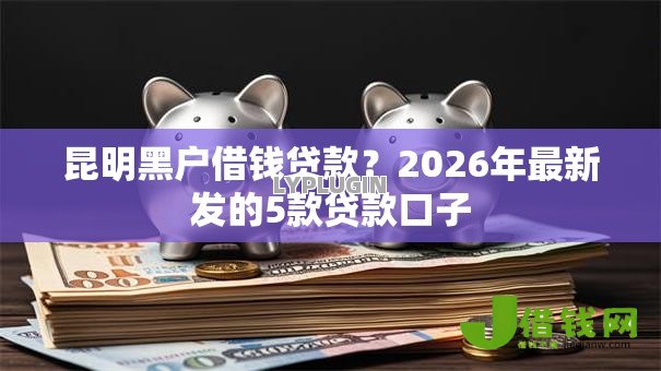 昆明黑户借钱贷款？2026年最新发的5款贷款口子