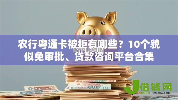 农行粤通卡被拒有哪些？10个貌似免审批、贷款咨询平台合集
