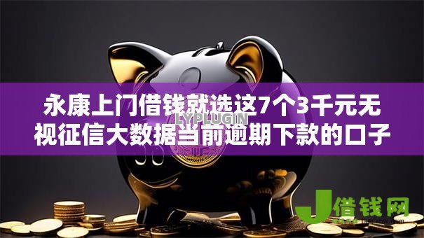永康上门借钱就选这7个3千元无视征信大数据当前逾期下款的口子