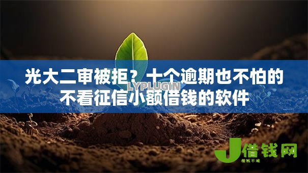 光大二审被拒？十个逾期也不怕的不看征信小额借钱的软件