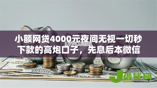 小额网贷4000元夜间无视一切秒下款的高炮口子，先息后本微信借钱的6个平台介绍