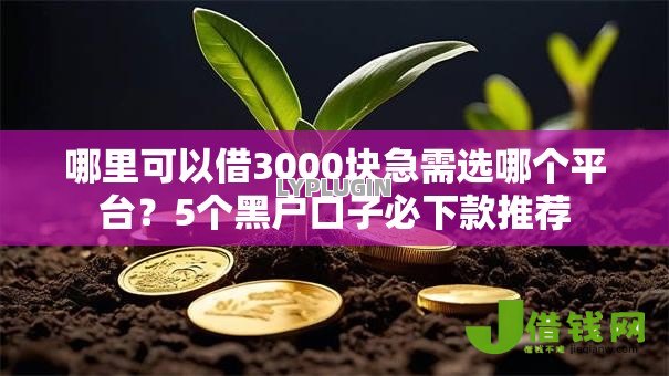 哪里可以借3000块急需选哪个平台？5个黑户口子必下款推荐