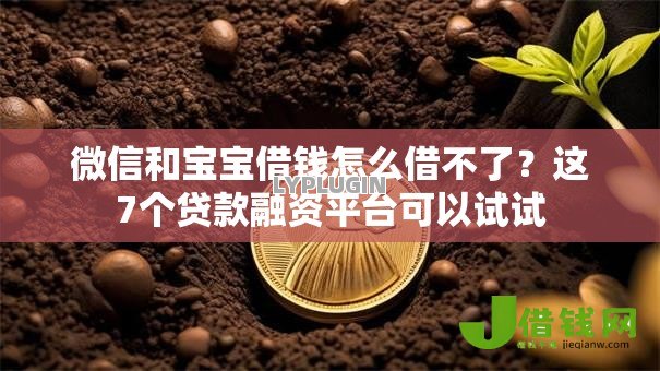 微信和宝宝借钱怎么借不了?这7个贷款融资平台可以试试 微信和宝宝借钱怎么借不了?这7个贷款融资平台可以试试