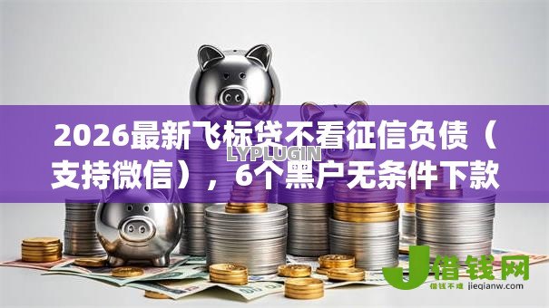2026最新飞标贷不看征信负债（支持微信），6个黑户无条件下款的app无私分享