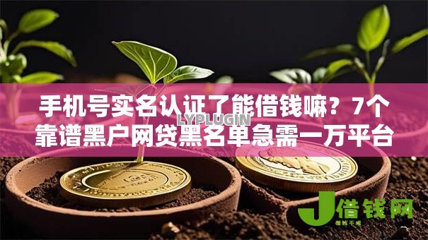 手机号实名认证了能借钱嘛？7个靠谱黑户网贷黑名单急需一万平台能下款推荐
