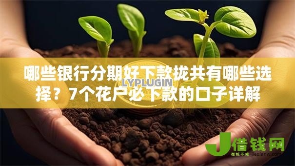 哪些银行分期好下款拢共有哪些选择？7个花户必下款的口子详解