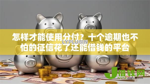 怎样才能使用分付？十个逾期也不怕的征信花了还能借钱的平台
