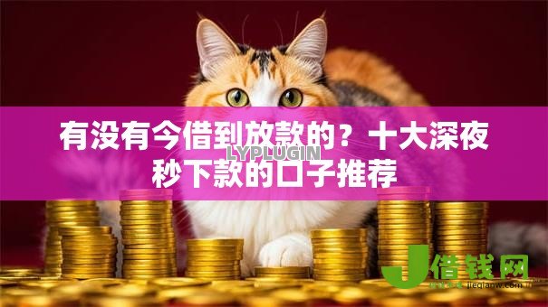 有没有今借到放款的?十大深夜秒下款的口子推荐 有没有今借到放款的?十大深夜秒下款的口子推荐