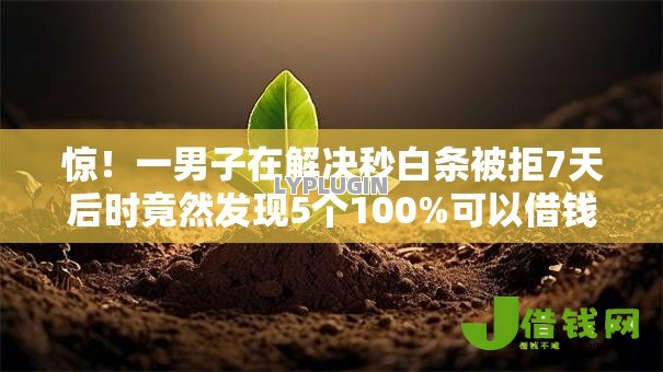 惊!一男子在解决秒白条被拒7天后时竟然发现5个100%可以借钱的平台,事后分享了出来 惊!一男子在解决秒白条被拒7天后时竟然发现5个100%可以借钱的平台,事后分享了出来
